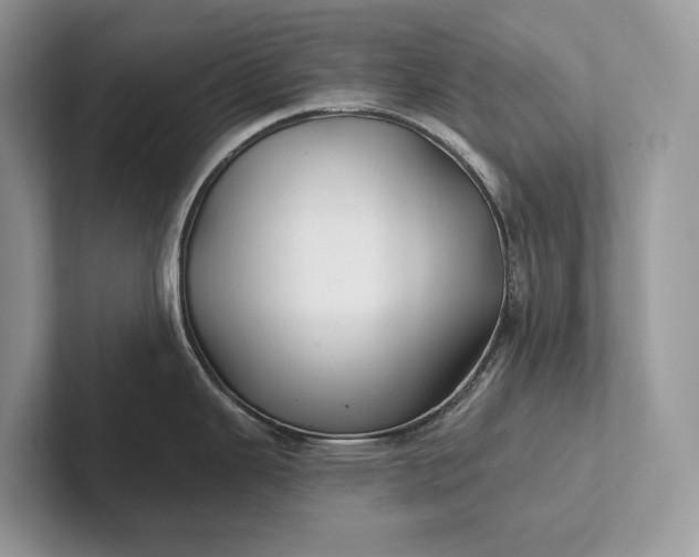 X0000101451343200807211305