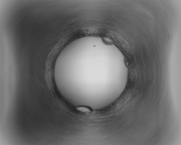 X0000101451345200807211304