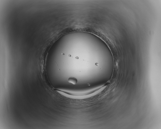 X0000101451348200807211304