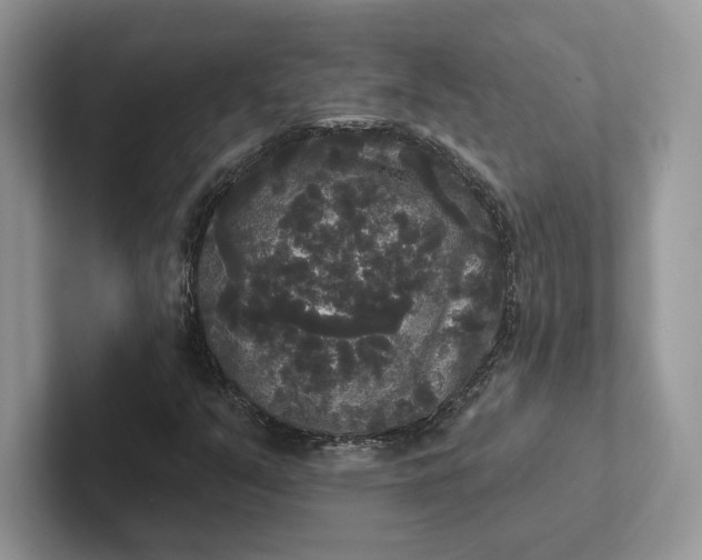 X0000101451351200807211304