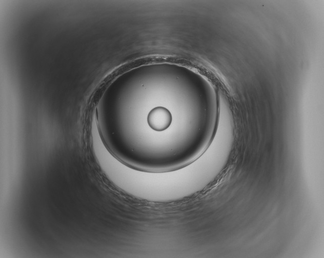 X0000101451352200807211304