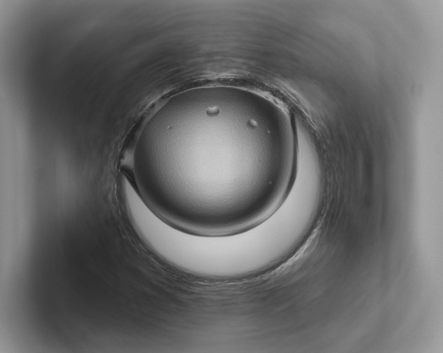 X0000101451353200807211304