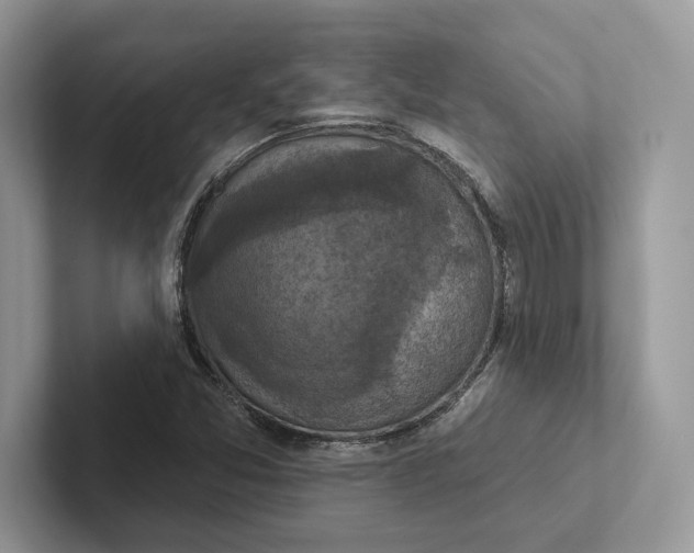 X0000101451357200807211304