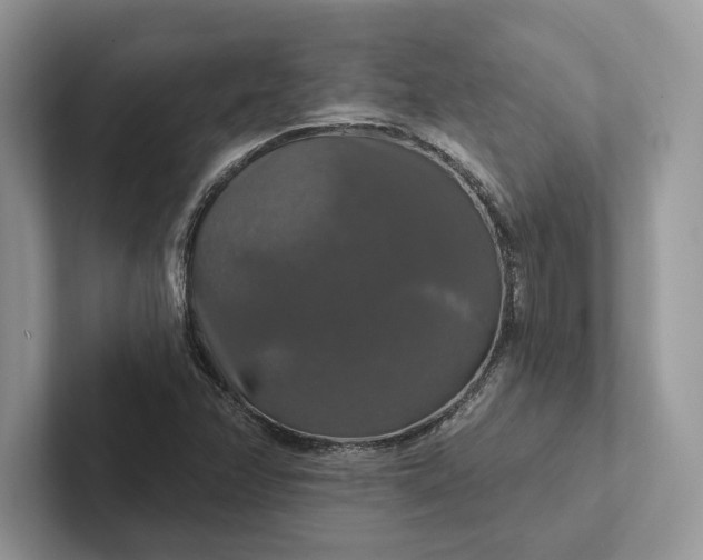 X0000101451358200807211304