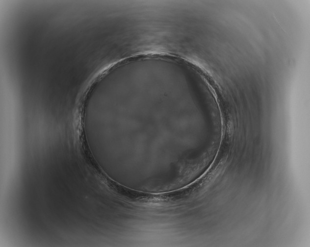 X0000101451359200807211304