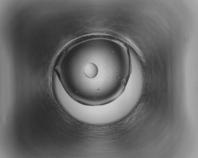 X0000101451360200807211304