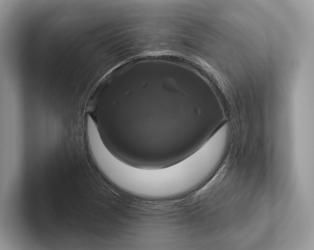 X0000101451361200807211304