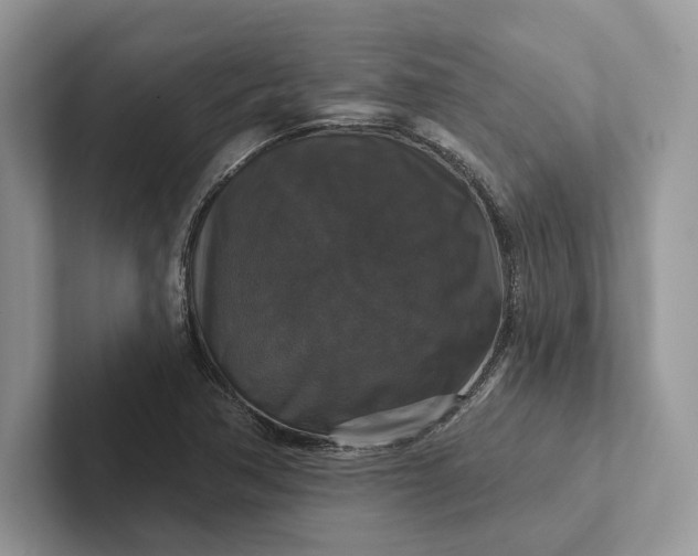 X0000101451362200807211304