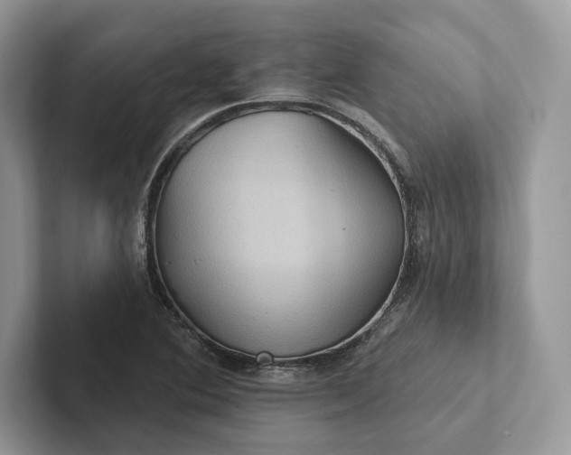 X0000101451364200807211304