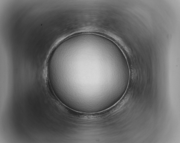 X0000101451366200807211304