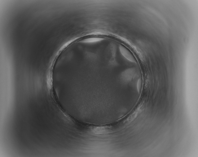 X0000101451367200807211304