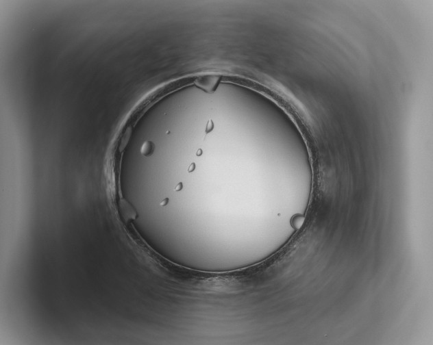 X0000101451368200807211304