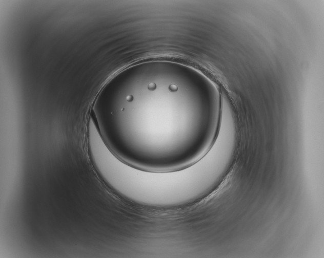 X0000101451369200807211304