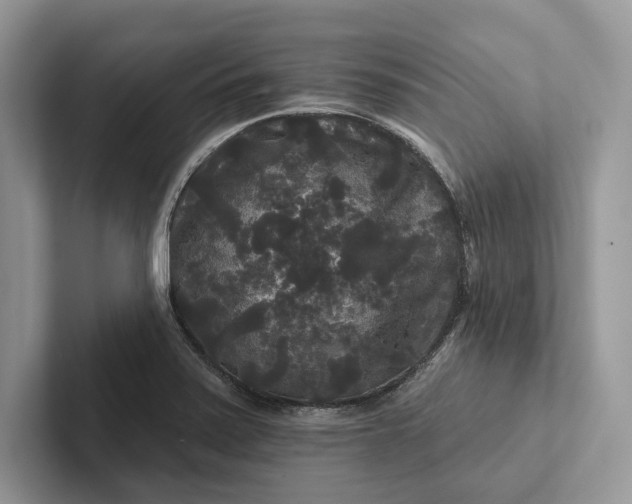 X0000101451371200807211304