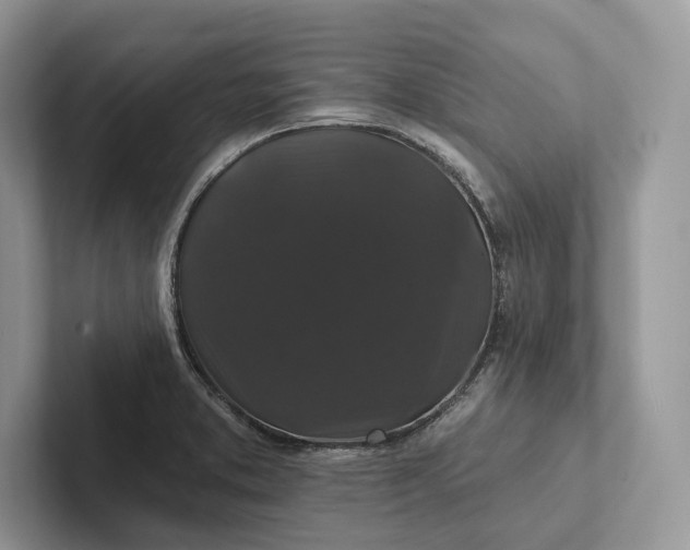 X0000101451373200807211304