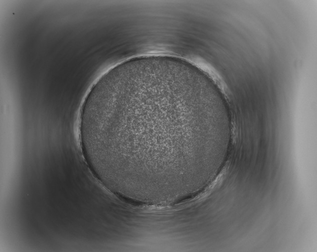 X0000101451374200807211304