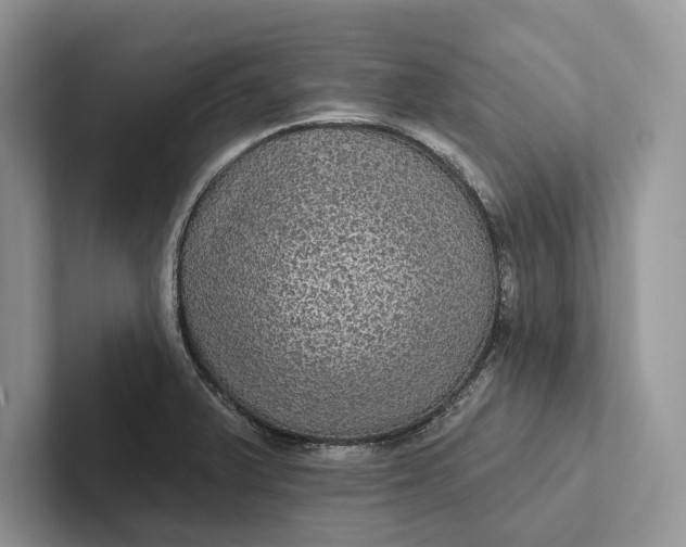 X0000101451375200807211304