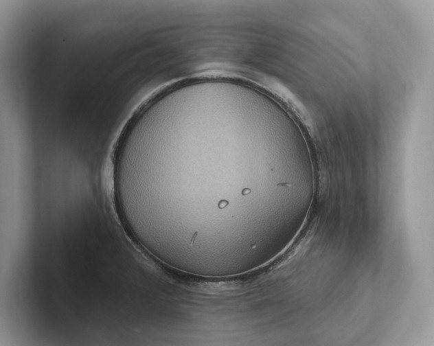 X0000101451376200807211304