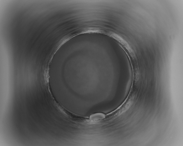 X0000101451377200807211304