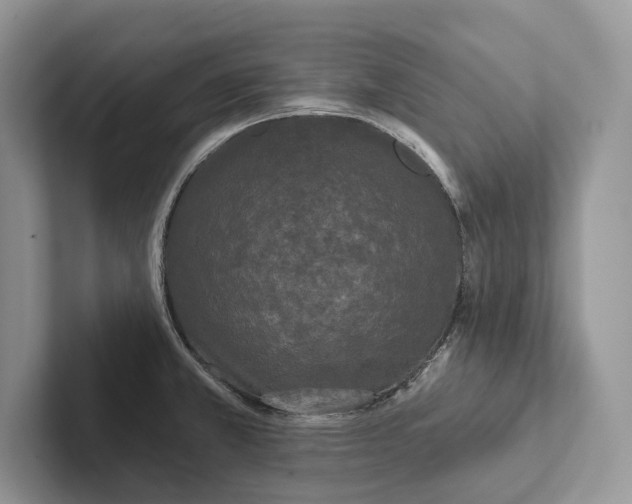 X0000101451381200807211304