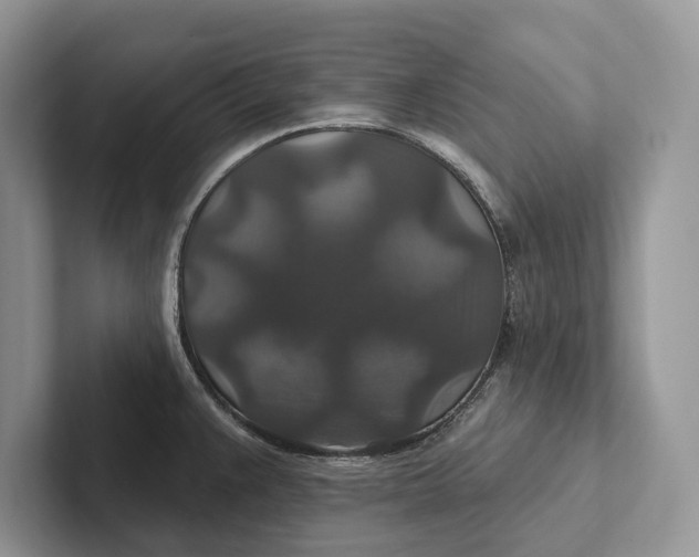 X0000101451383200807211304