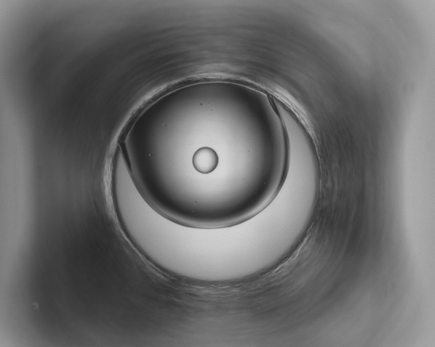 X0000101451384200807211304