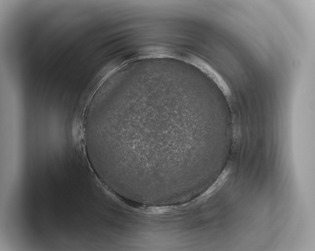 X0000101451385200807211304