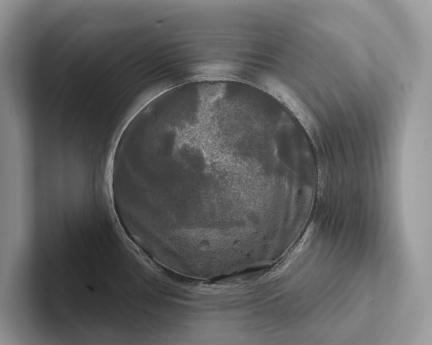 X0000101451386200807211304