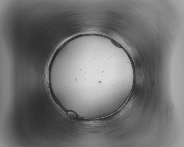 X0000101451388200807211304