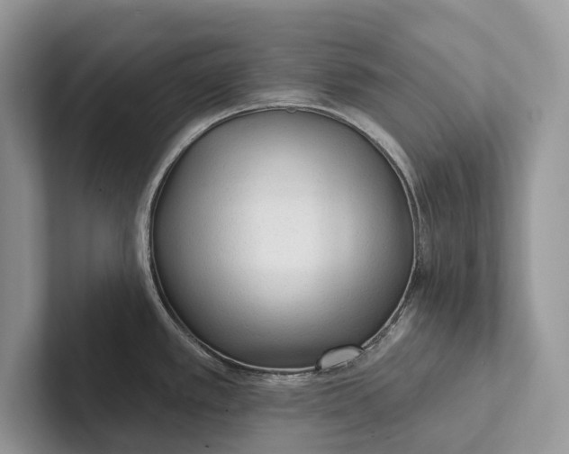 X0000101451389200807211304