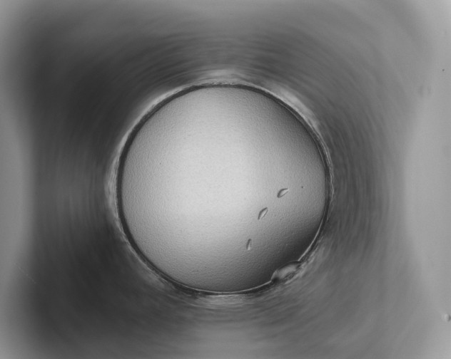 X0000101451392200807211304