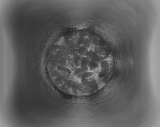 X0000101451393200807211303