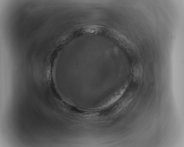 X0000101451394200807211303