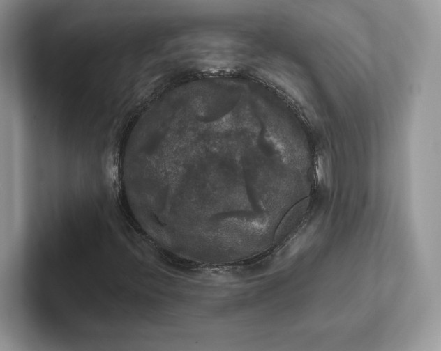 X0000101451396200807211303