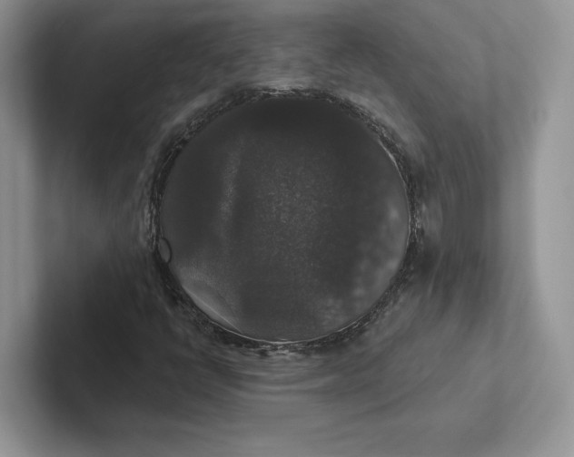 X0000101451398200807211303