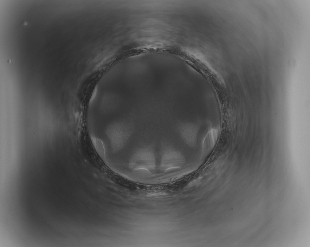 X0000101451399200807211303