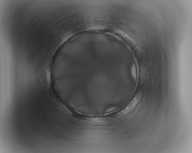 X0000101451401200807211303