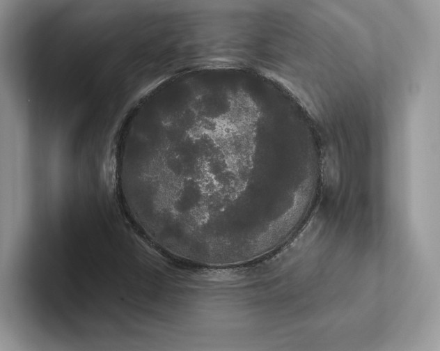 X0000101451402200807211303