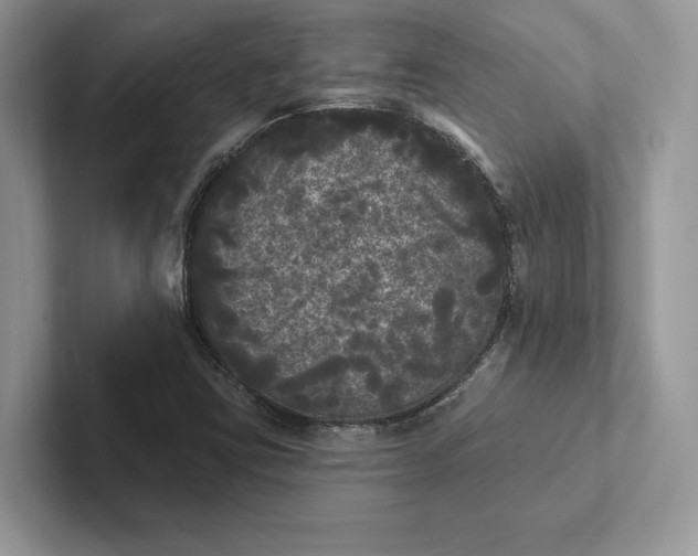 X0000101451403200807211303