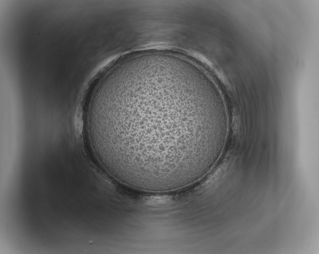 X0000101451406200807211303