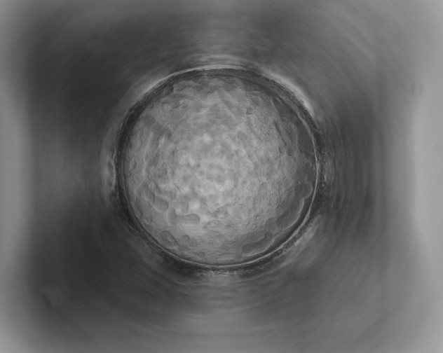 X0000101451407200807211303