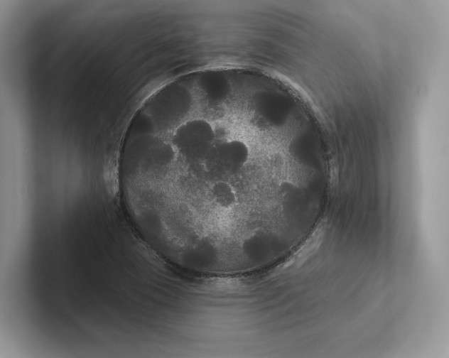 X0000101451409200807211303