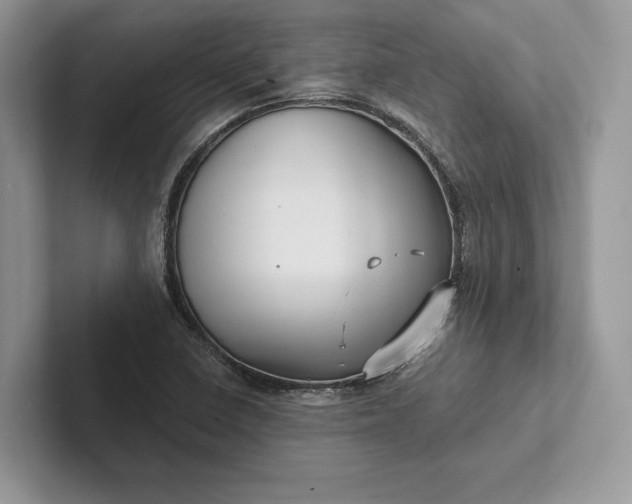 X0000101451410200807211303