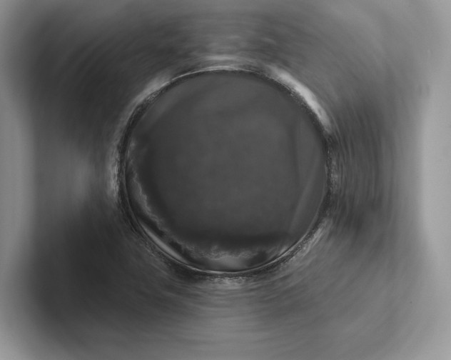 X0000101451411200807211303