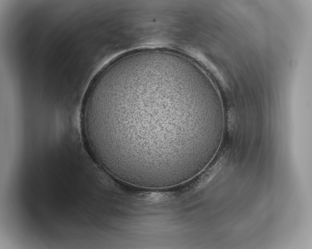 X0000101451412200807211303