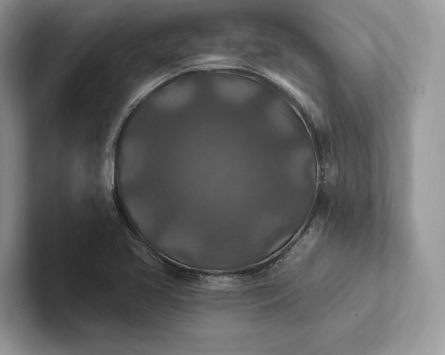 X0000101451413200807211303