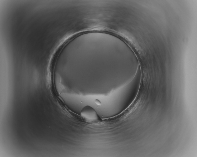 X0000101451414200807211303