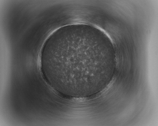 X0000101451415200807211303