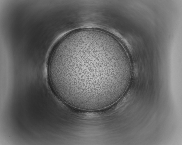 X0000101451416200807211303