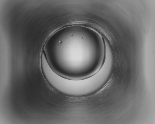 X0000101451417200807211303